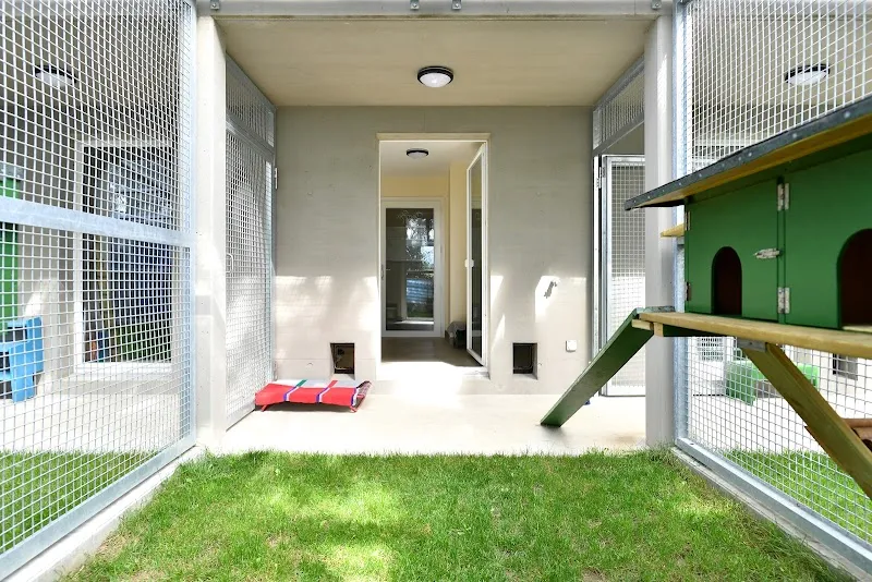 Refuge de la SPA La Côte — Tierheim, Nyon, Waadt. Foto 3