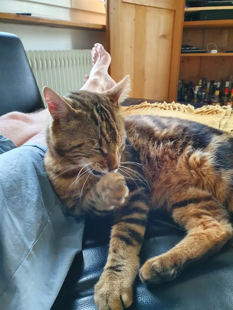 Société protectrice des animaux Neuchâtel et environs SPAN refuge — Tierheim in Colombier, Neuenburg. Bewertung 4.1/5.