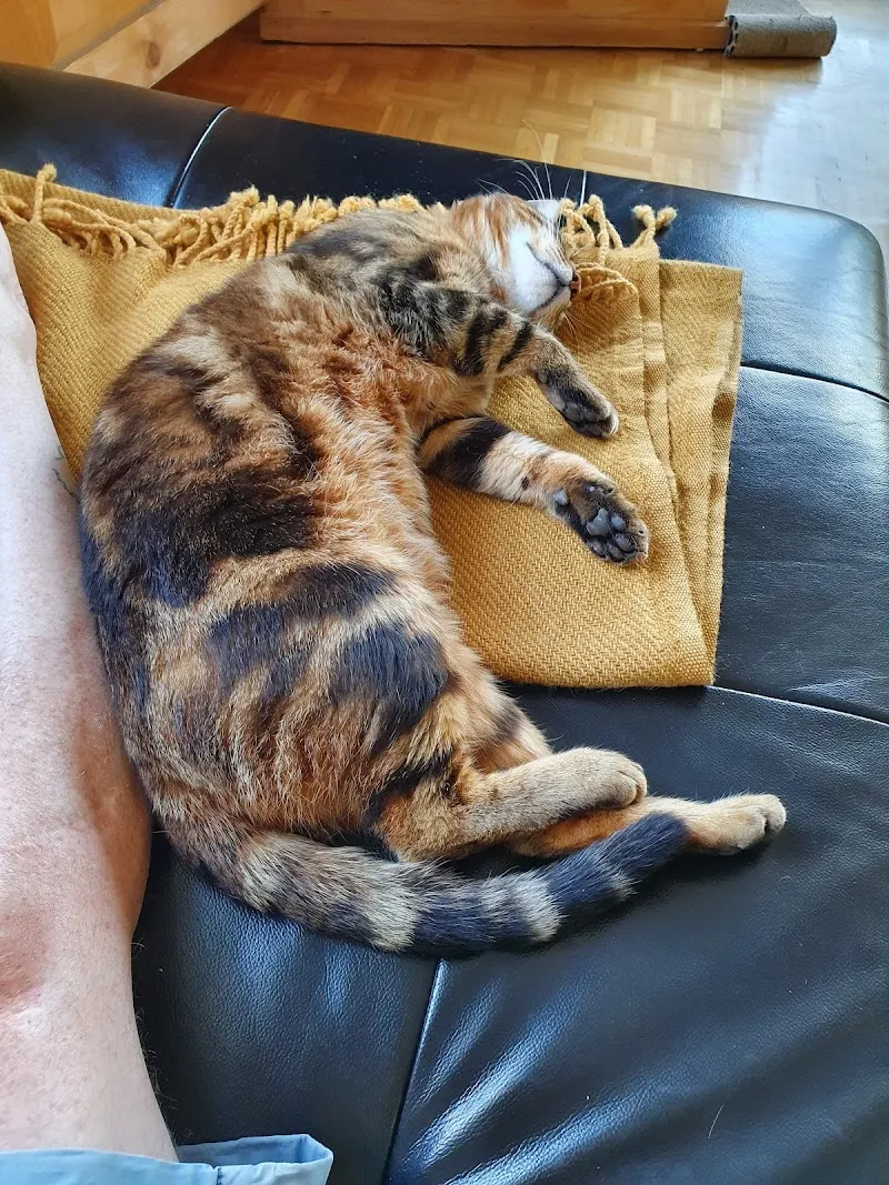 Société protectrice des animaux Neuchâtel et environs SPAN refuge — Refuge, Colombier, Neuchâtel. Foto 3