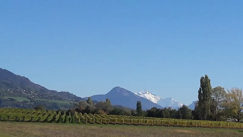 Landais, Canis Pension — Katzenpension in Jussy, Genf. Bewertung 4.8/5.