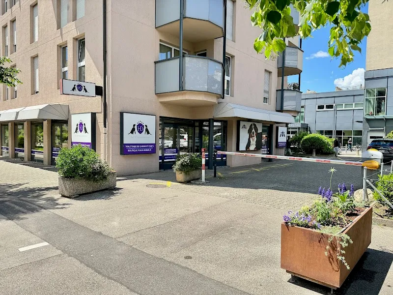 Happy Dog Day Spa Thônex — Tierheim in Thônex, Genf. Bewertung 4.9/5.