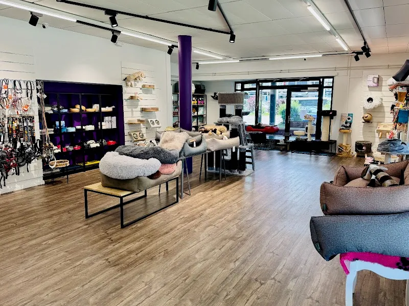 Happy Dog Day Spa Thônex — Refuge, Thônex, Genève. Foto 2