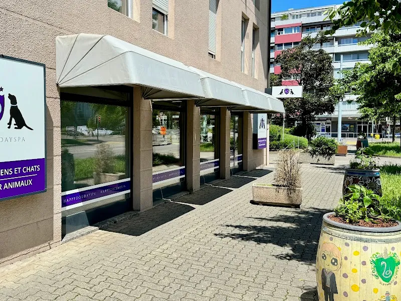 Happy Dog Day Spa Thônex — Refuge, Thônex, Genève. Foto 3