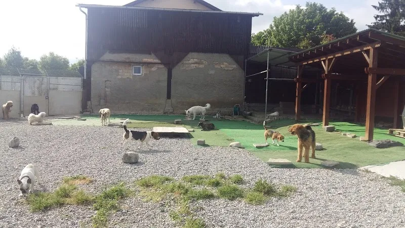 Le Compagnon Perly — Katzenpension in Perly-Certoux, Genf. Bewertung 4.5/5.