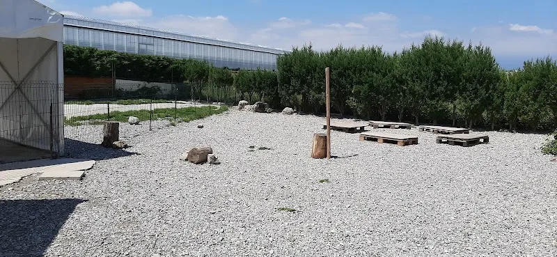 Le Compagnon Perly — Katzenpension, Perly-Certoux, Genf. Foto 2