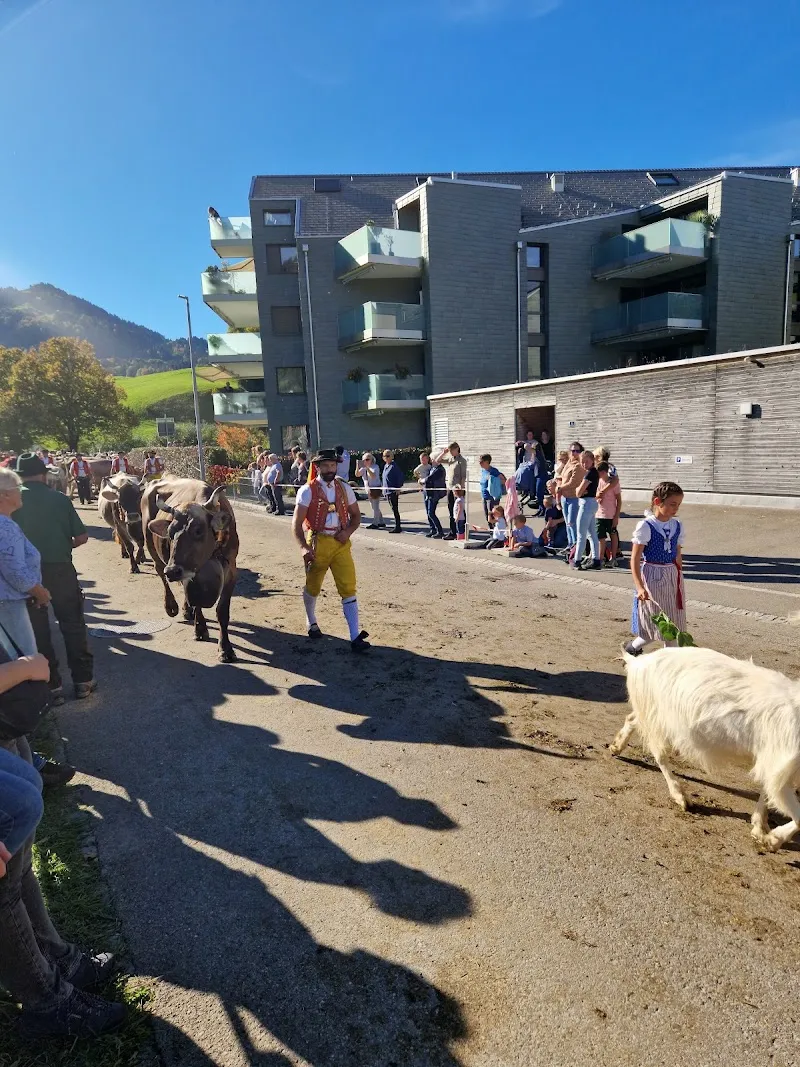 Tierheim Nesslau — Refuge, Nesslau, Saint-Gall. Foto 2