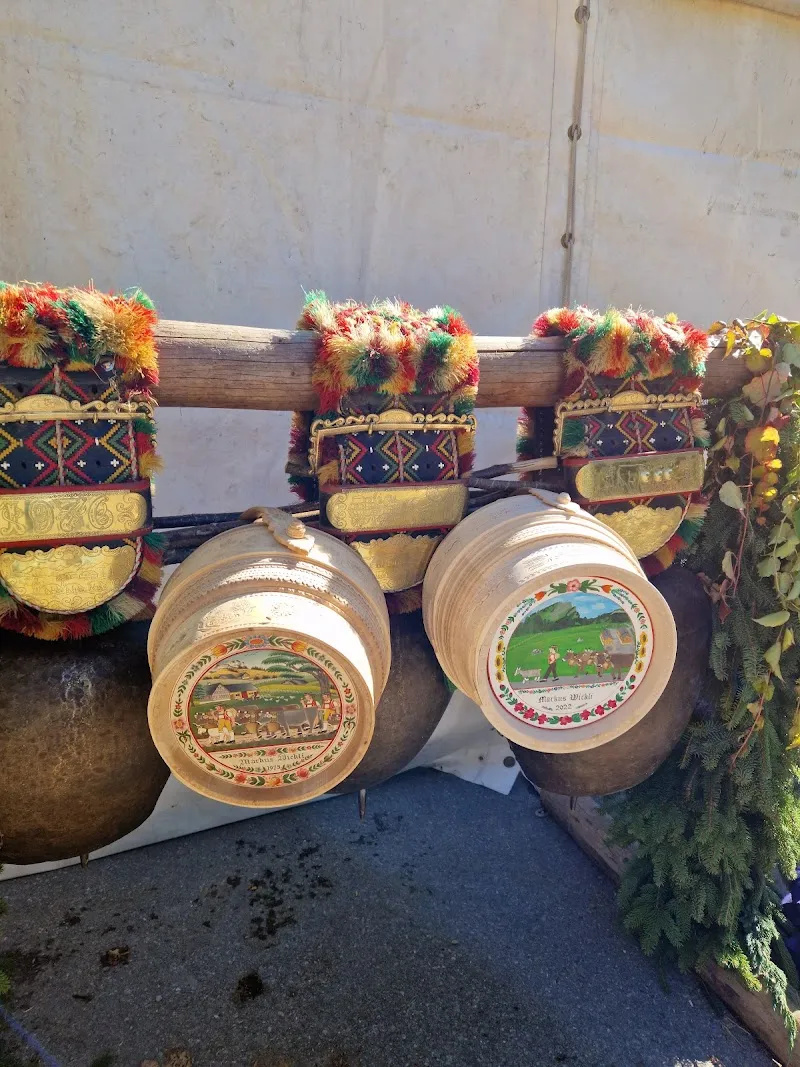 Tierheim Nesslau — Refuge, Nesslau, Saint-Gall. Foto 3