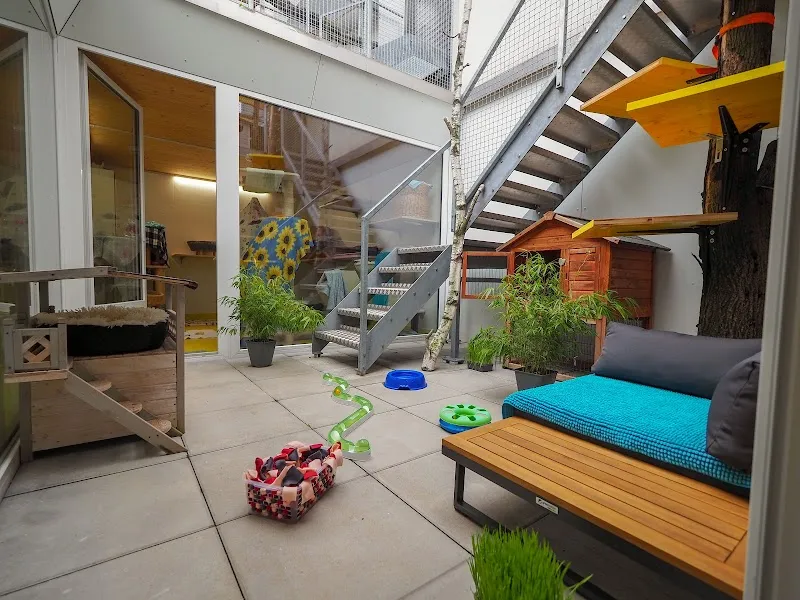 Tierschutzbund Basel Regional — Tierheim in Muttenz, Basel-Landschaft. Bewertung 4.5/5.