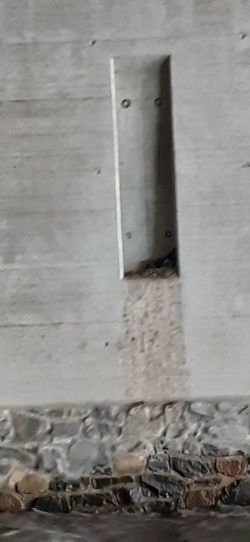 Graubündner Tierschutzverein — Tierheim in Chur, Graubünden. 