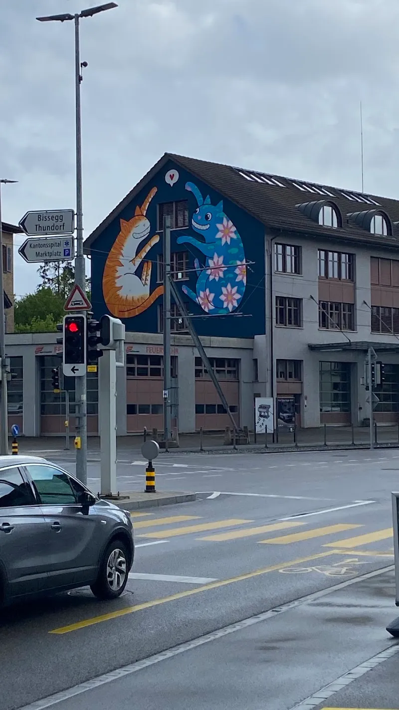 Thurgauischer Tierschutzverband TTSV — Refuge, Wil, Thurgovie. Foto 2