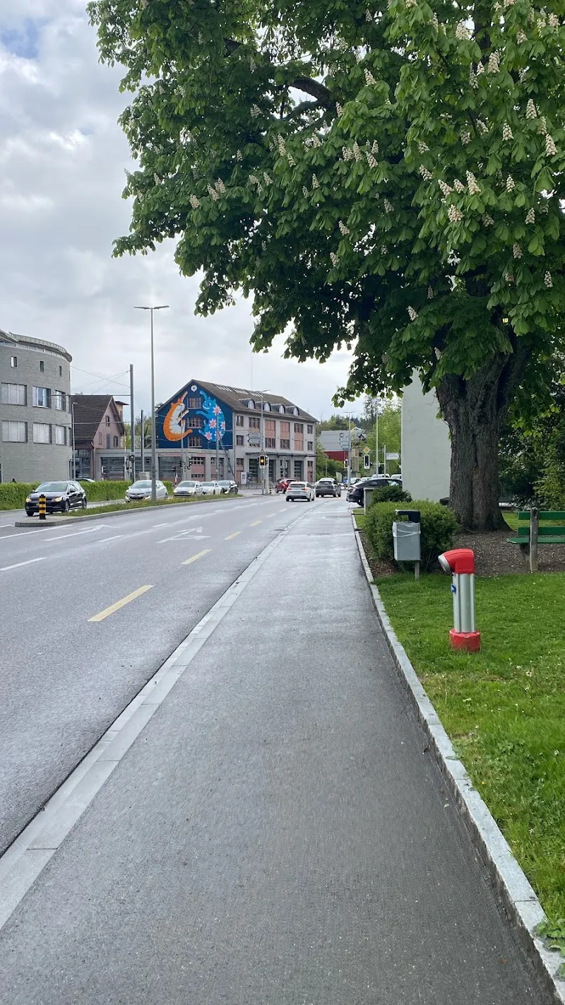 Thurgauischer Tierschutzverband TTSV — Refuge, Wil, Thurgovie. Foto 3