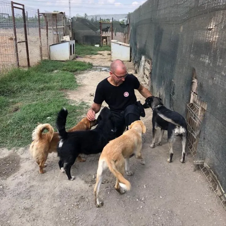 VSAT – Verein Schweizer AuslandTierschutz — Tierheim in Märwil, Thurgau. Bewertung 4.8/5.