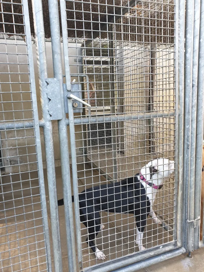 Rifugio per animali La Stampa — Tierheim in Lugano, Tessin. Bewertung 4.3/5.