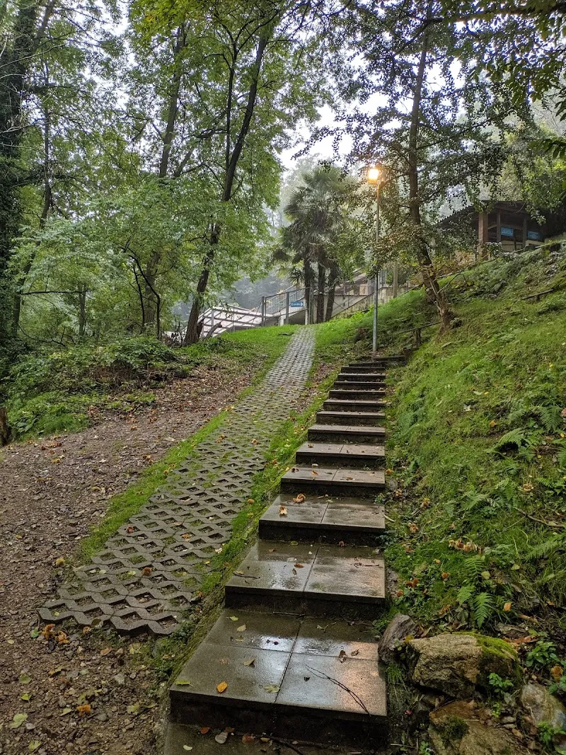 Rifugio per animali La Stampa — Refuge, Lugano, Tessin. Foto 2