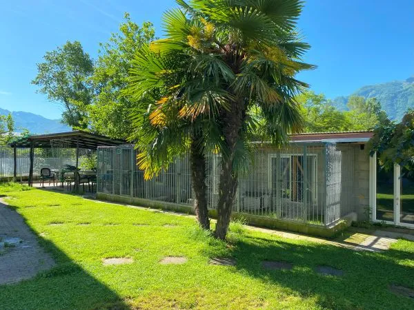 Società Protezione Animali Locarno e Valli — Tierheim in Gordola, Tessin. Bewertung 4.2/5.