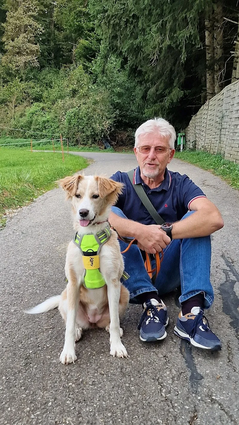 Tierheim Tellen — Refuge, Hohentannen, Thurgovie. Foto 2