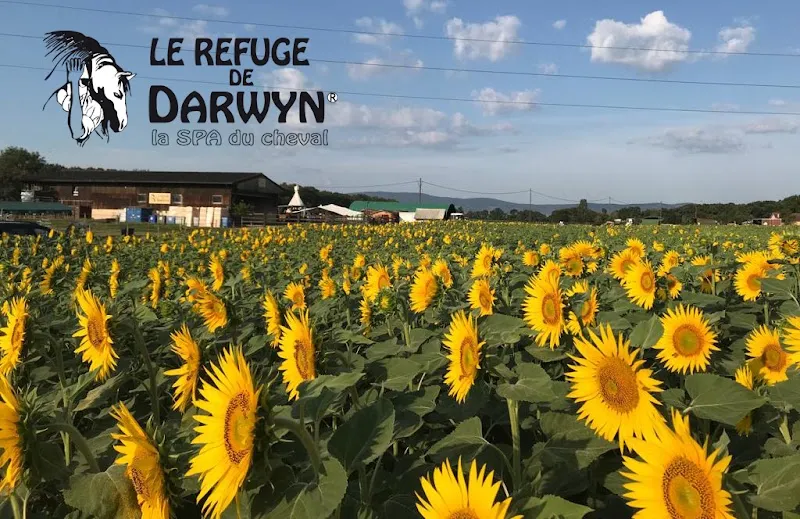 Refuge de Darwyn — Tierheim in Sezenove, Genf. Bewertung 4.8/5.