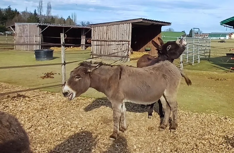 Refuge de Darwyn — Refuge, Sezenove, Genève. Foto 2