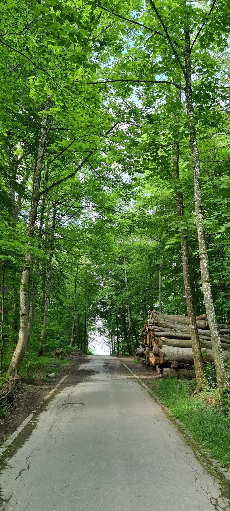 Refuge de Sauvabelin — Tierheim, Lausanne, Waadt. Foto 2