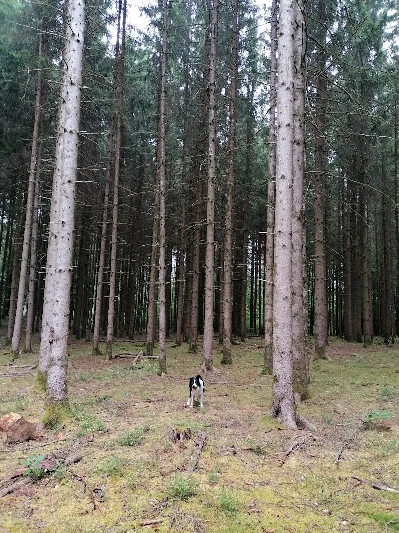 Refuge de Tolochenaz — Tierheim in Renens, Waadt. Bewertung 4.8/5.