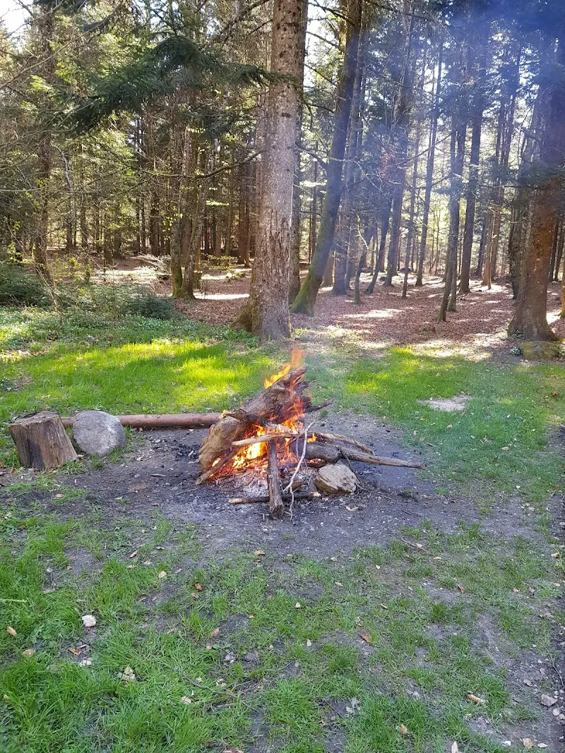 Refuge de Tolochenaz — Refuge, Renens, Vaud. Foto 2