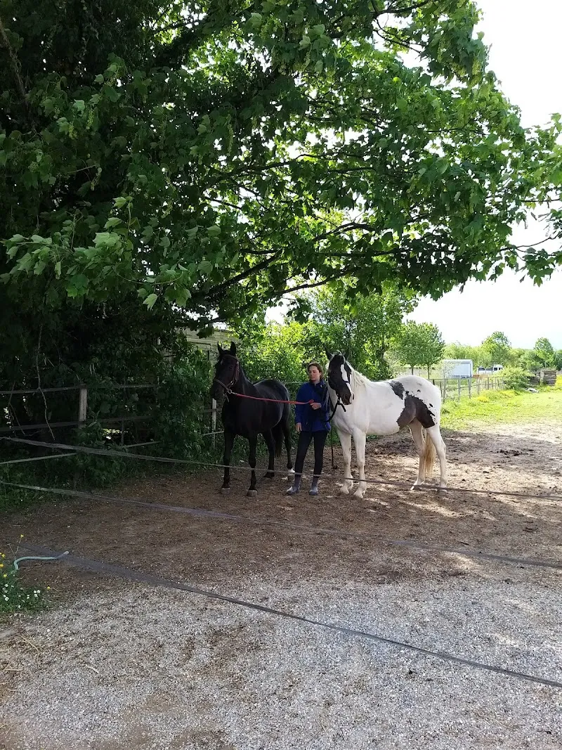 Société Protectrice des Animaux (SPA) Refuge Vailly — Refuge, Bernex, Genève. Foto 3
