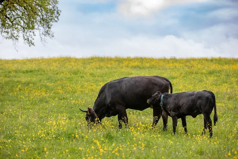 ProTier – Stiftung für Tierschutz und Ethik — Tierheim in Zürich, Zürich. Bewertung 4.3/5.