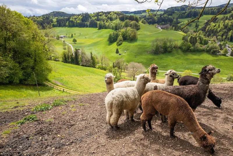ProTier – Stiftung für Tierschutz und Ethik — Refuge, Zürich, Zurich. Foto 3