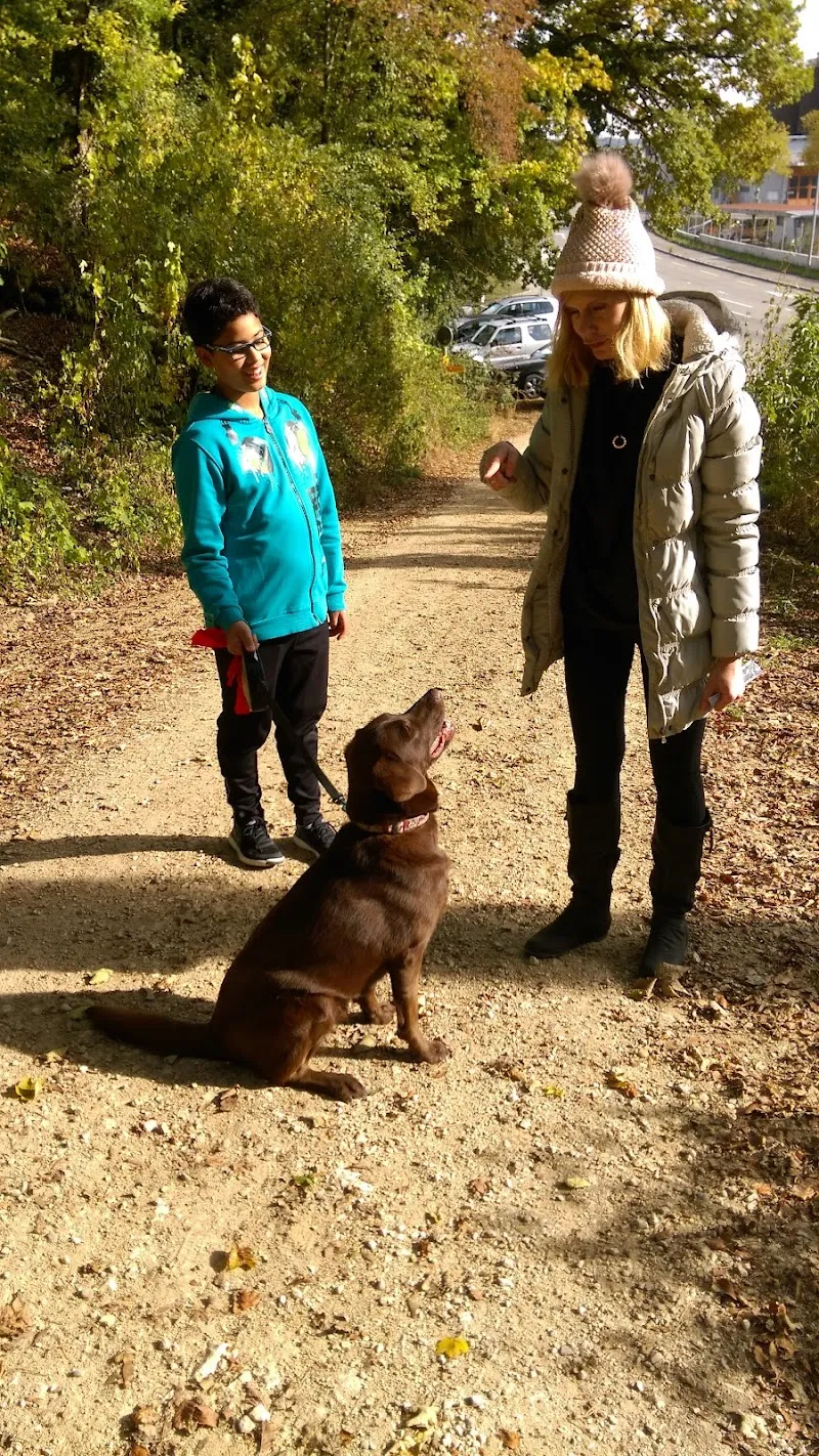 Tierheim Buchbrunnen — Tierheim in Schaffhausen, Schaffhausen. Bewertung 4.3/5.