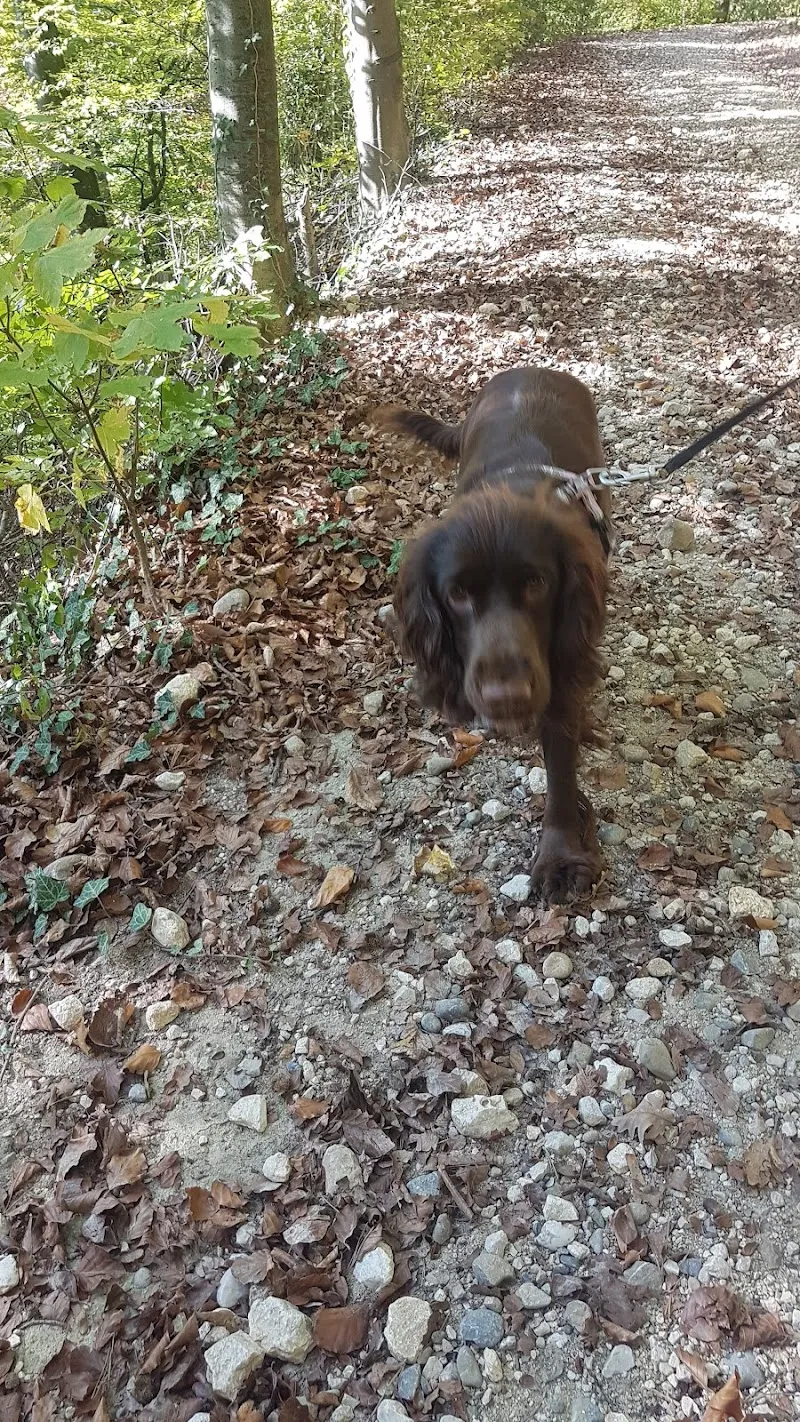 Tierheim Buchbrunnen — Refuge, Schaffhausen, Schaffhouse. Foto 2
