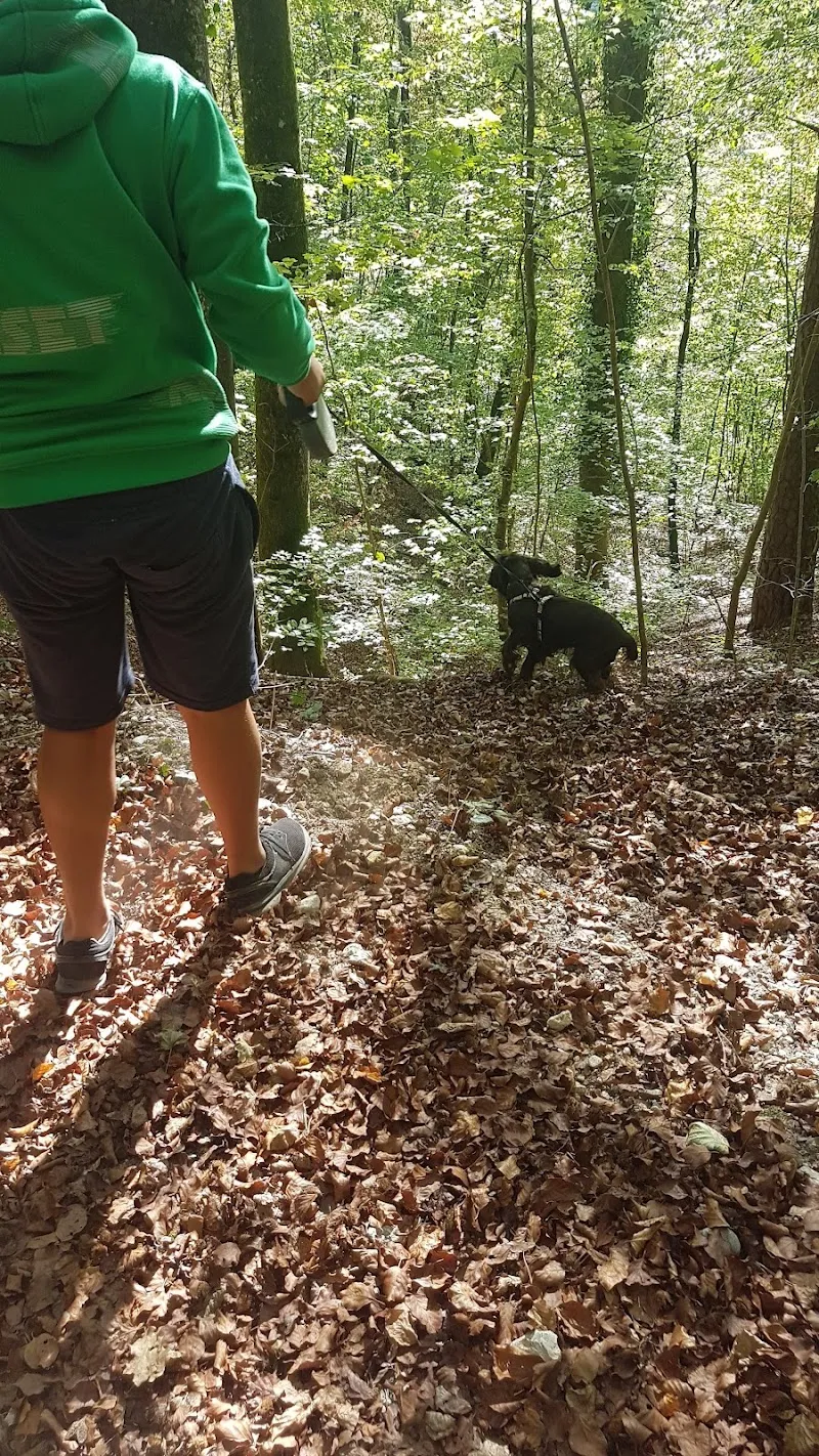 Tierheim Buchbrunnen — Refuge, Schaffhausen, Schaffhouse. Foto 3