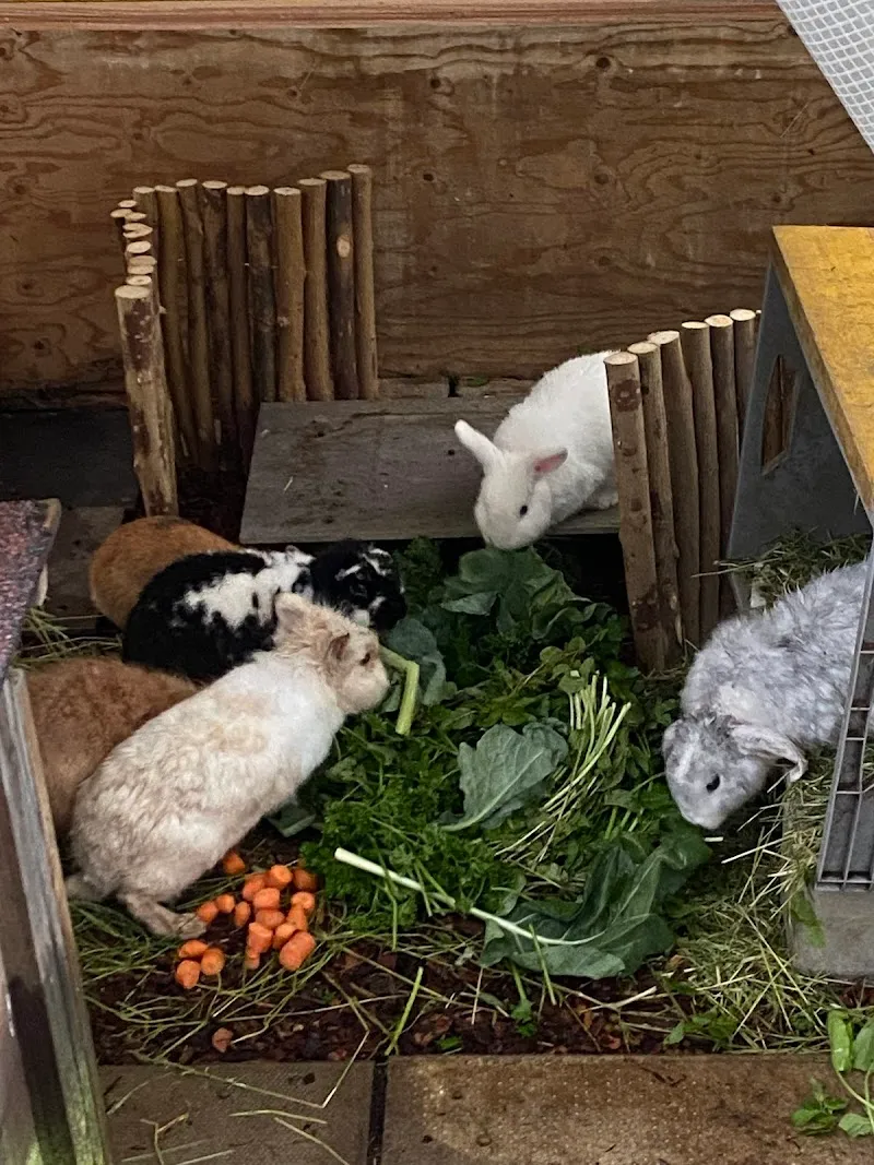 Tierheim MalMel — Tierheim in Hägglingen, Aargau. Bewertung 4.8/5.