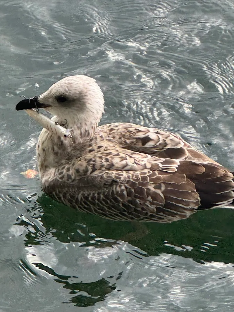 Tierheim Stolzboden — Tierheim in Sihlbrugg, Zug. Bewertung 4.8/5.