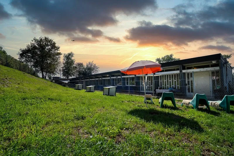 Tierheim Welti — Refuge, Winkel, Zurich. Foto 2