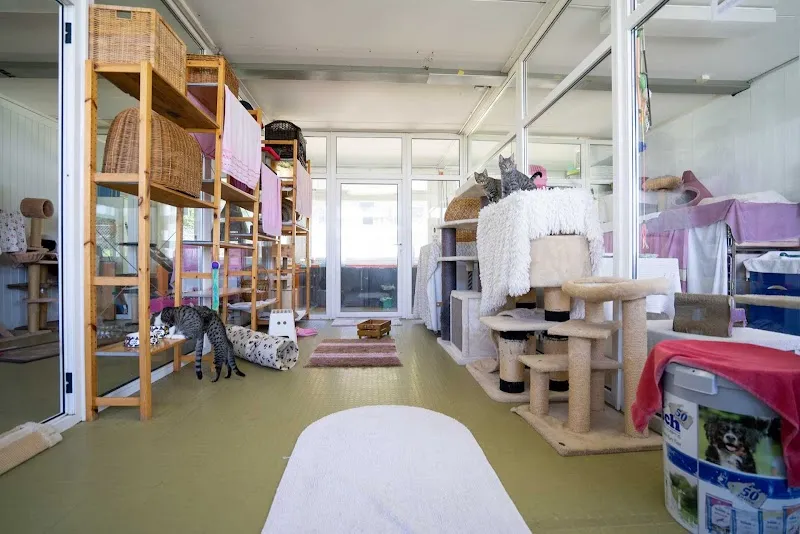 Tierheim Welti — Refuge, Winkel, Zurich. Foto 3