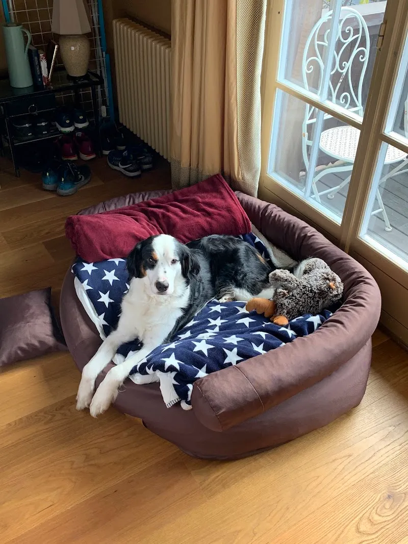 Tierheim Wängi — Tierheim in Müselbach, St. Gallen. Bewertung 4.6/5.