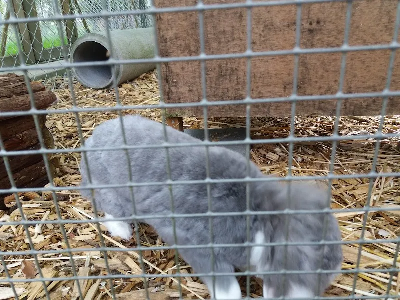 Tierheim an der Ron — Tierheim, Root, Luzern. Foto 2