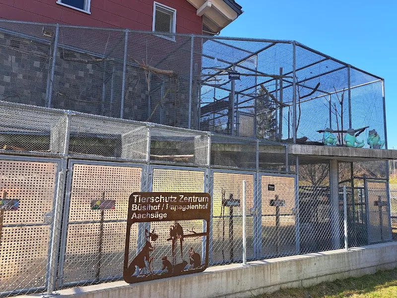 Tierschutzverein Papageienhof / Büsihof — Tierheim in Mogelsberg, St. Gallen. Bewertung 4.1/5.