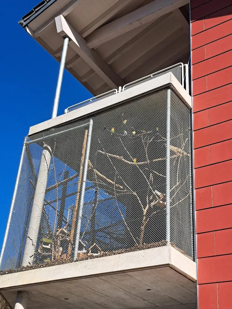 Tierschutzverein Papageienhof / Büsihof — Tierheim, Mogelsberg, St. Gallen. Foto 3