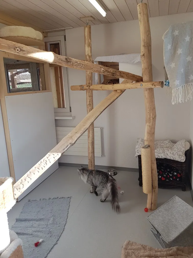 Tierschutzverein Winterthur und Umgebung — Tierheim in Bertschikon, Zürich. Bewertung 5.0/5.