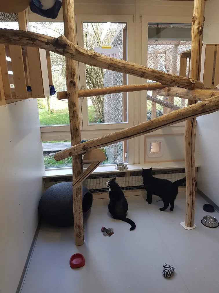 Tierschutzverein Winterthur und Umgebung — Tierheim, Bertschikon, Zürich. Foto 2