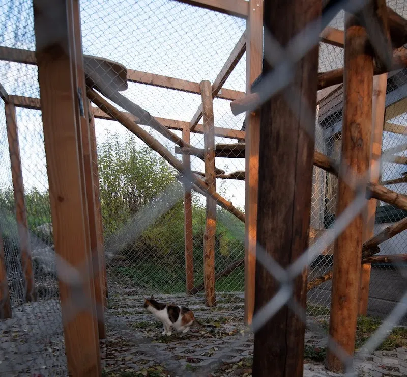 Tierschutzverein Winterthur und Umgebung — Tierheim, Bertschikon, Zürich. Foto 3