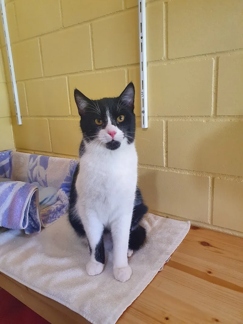 Tierschutzverein Zug — Tierheim in Allenwinden, Zug. Bewertung 4.6/5.