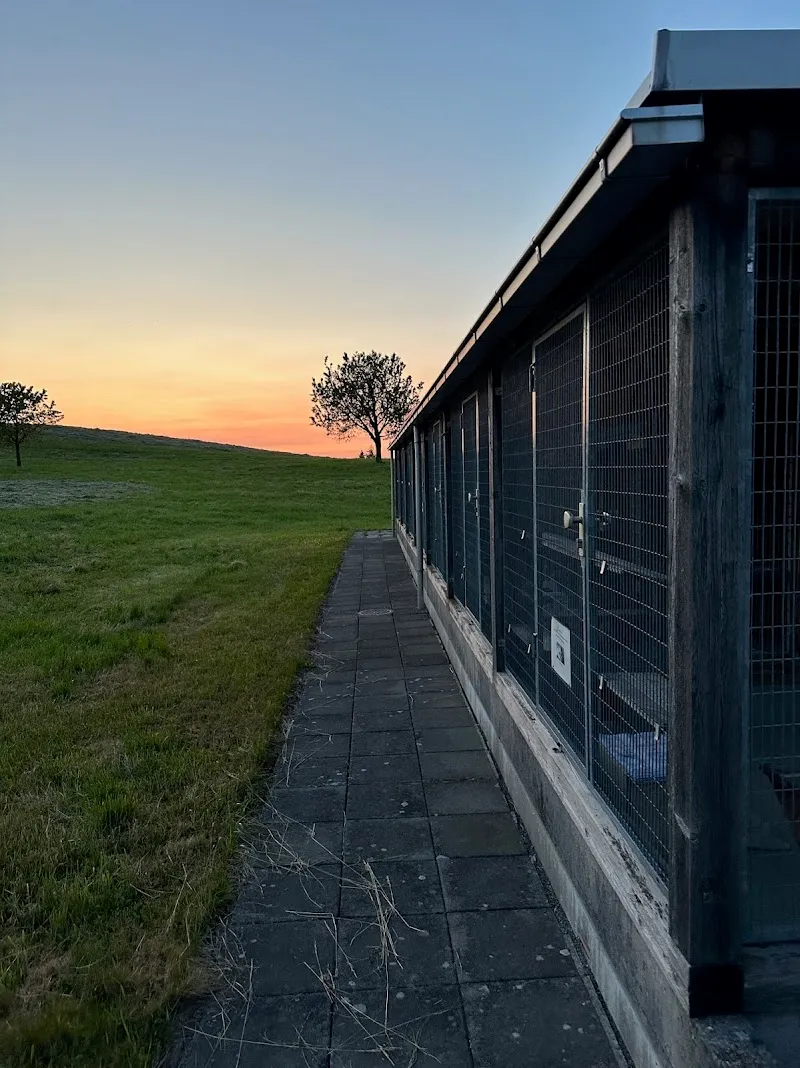 Tierschutzverein Zug — Refuge, Allenwinden, Zoug. Foto 3