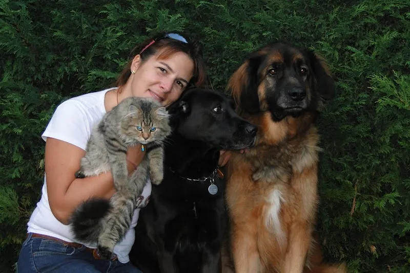 Services & Solutions, Sandra Emery Marchand — Katzenpension in Plan-les-Ouates, Genf. Bewertung 3.0/5.