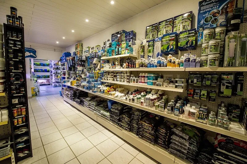 Andy's Aquaristik Shop Gmbh Onlineshop — Zoofachhandel, Ehrendingen, Aargau. Foto 2