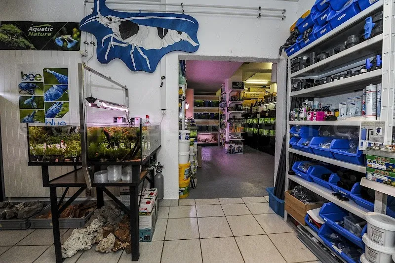 Andy's Aquaristik Shop Gmbh Onlineshop — Zoofachhandel, Ehrendingen, Aargau. Foto 3