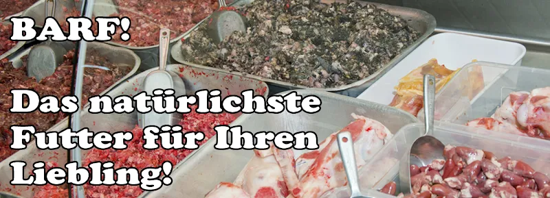 Doggiefood Schweiz GmbH — Animalerie, Wohlen, Argovie. Foto 2