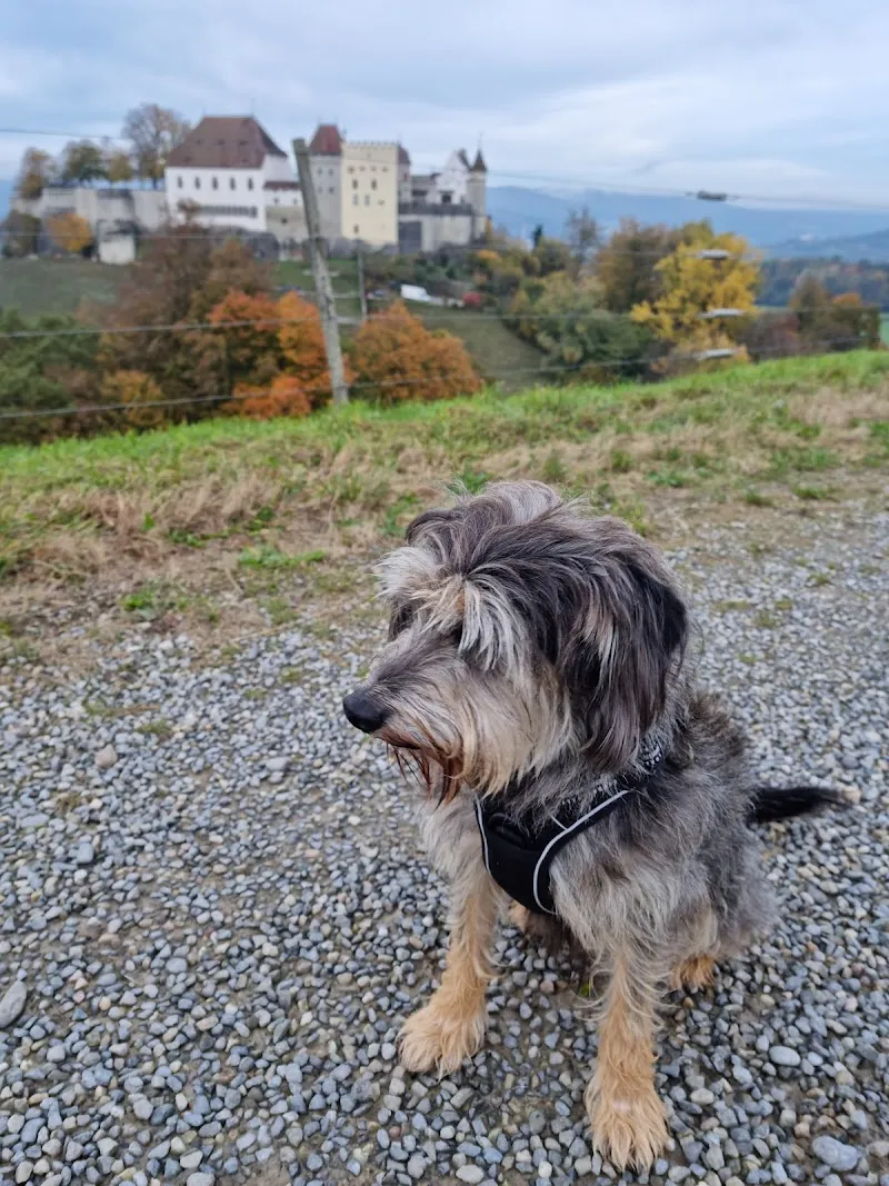 Fressnapf Niederlenz — Animalerie, Niederlenz, Argovie. Foto 2