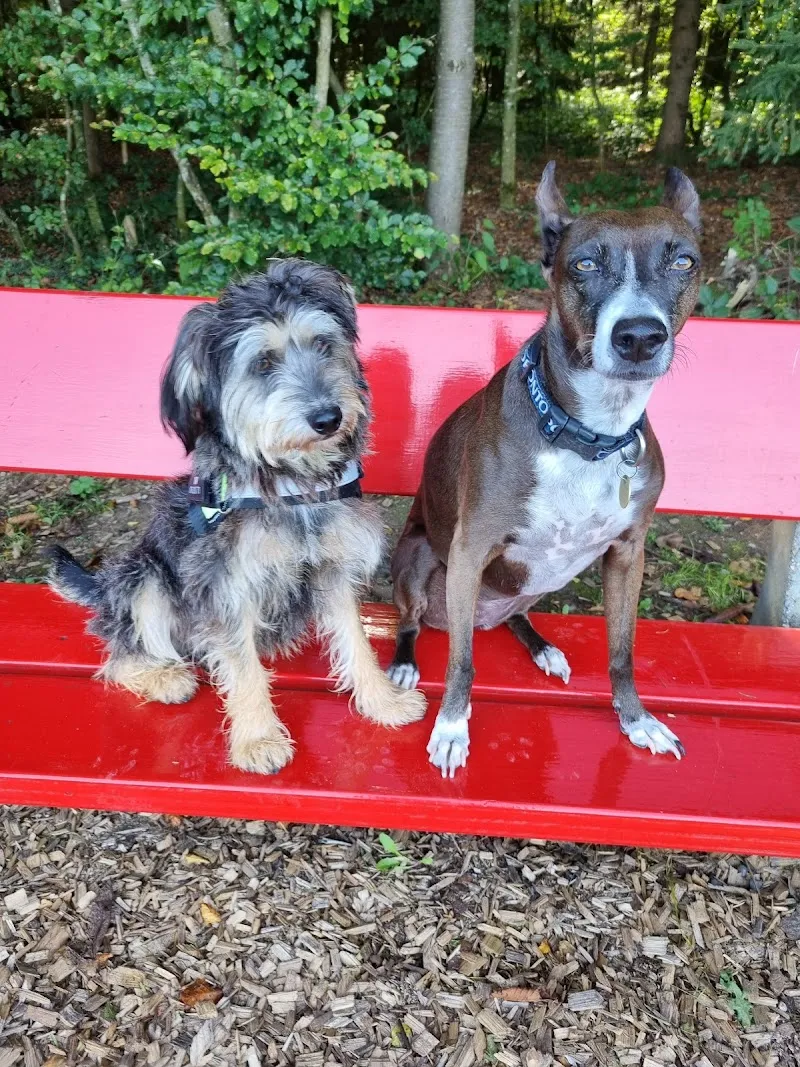 Fressnapf Niederlenz — Animalerie, Niederlenz, Argovie. Foto 3